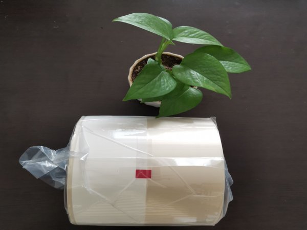 <b>油墨引起的化學反應對可降解藥品包裝膜的影響</b>